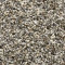 Architect-Stone