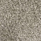 Celebrity-Baltic Birch