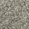 Gladiator-Periwinkle