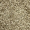Gladiator-True Beige