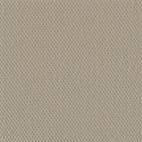 MOON BAY - Champagne Fizz