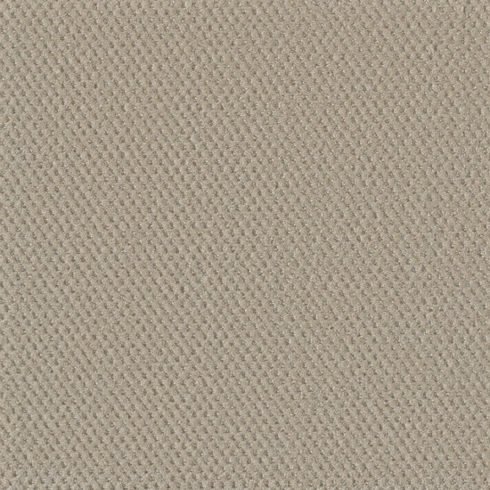 MOON BAY - Champagne Fizz MOON BAY - Champagne Fizz