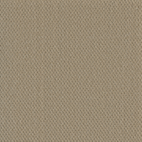 MOON BAY - Soft Pine