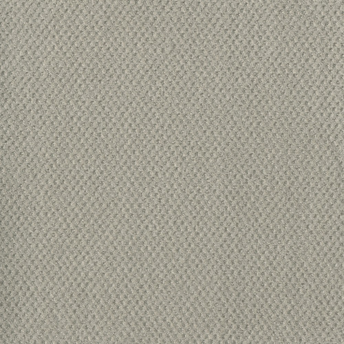 MOON BAY - Snow Cap