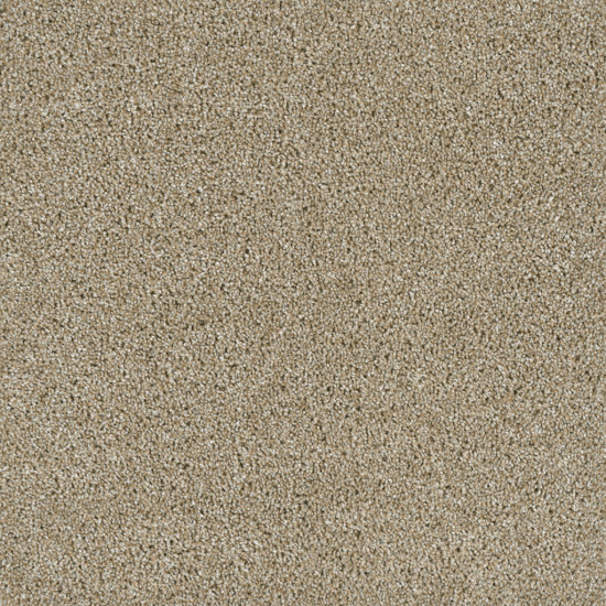 ACCLAIM - Outback ACCLAIM - Outback