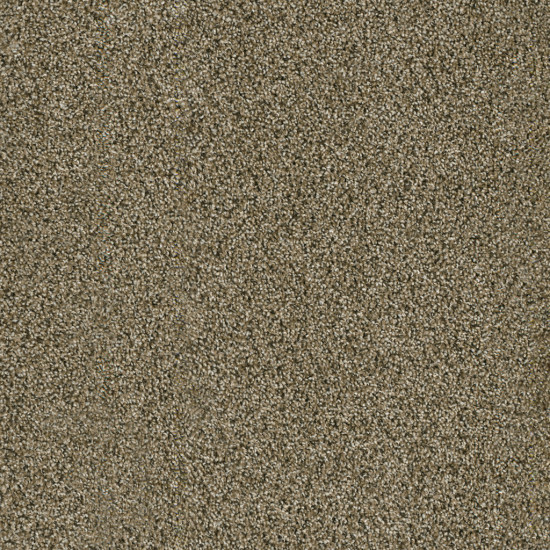 ACCLAIM - Island Spice ACCLAIM - Island Spice