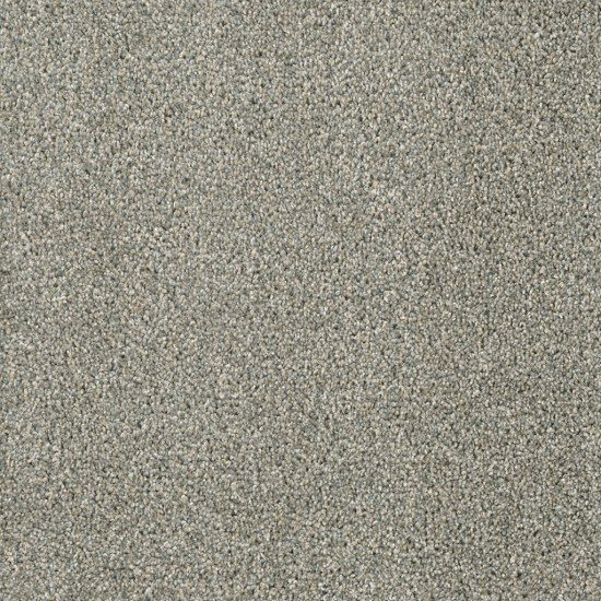 ACCLAIM - Sandy Trail ACCLAIM - Sandy Trail