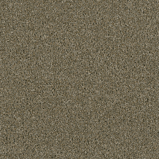 ACCLAIM - Cinnamon Tea ACCLAIM - Cinnamon Tea