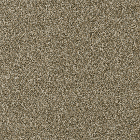 ACCLAIM - Sienna Sand ACCLAIM - Sienna Sand