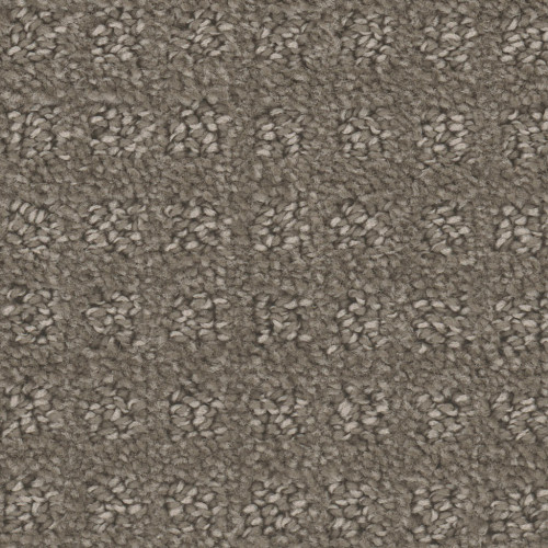 CHAMBER'S BAY - Riverbed