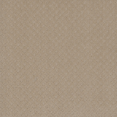 CAPRI - Soft Pine