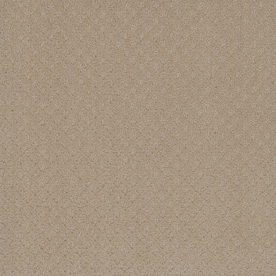 CAPRI - Soft Pine CAPRI - Soft Pine