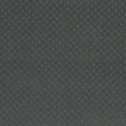 CAPRI - Onyx Waves