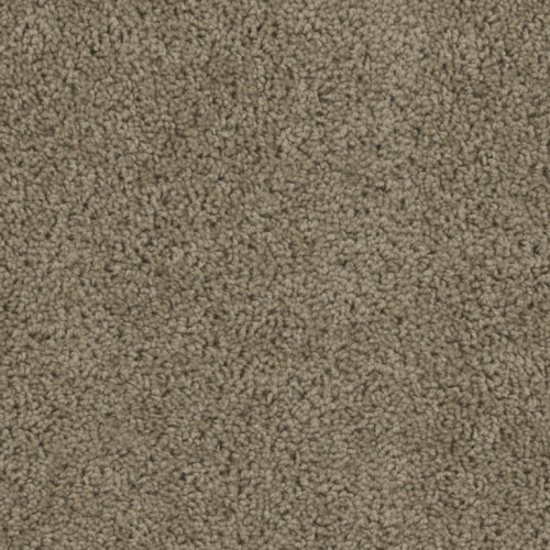 TRACKER - Honey Beige