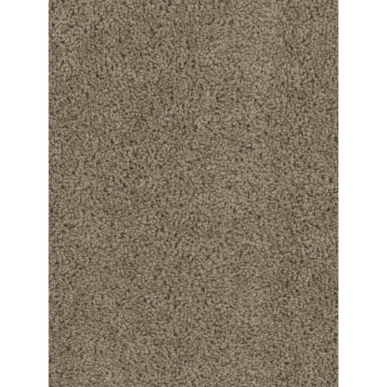 TRACKER - Honey Beige TRACKER - Honey Beige