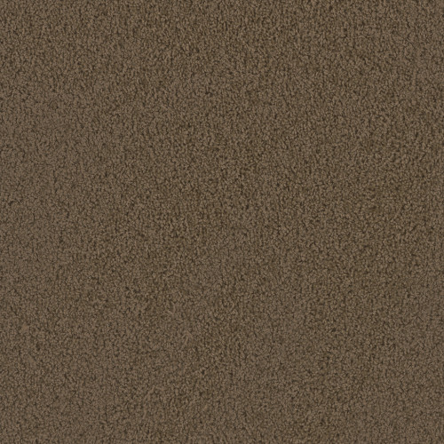 TRACKER - Taupe