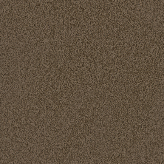 TRACKER - Taupe TRACKER - Taupe
