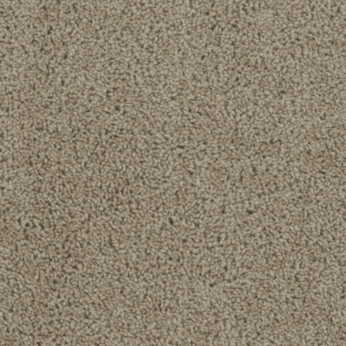 TRACKER - Sandstone