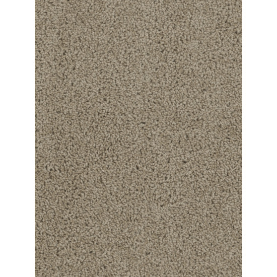 TRACKER - Sandstone TRACKER - Sandstone