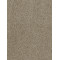 TRACKER - Sandstone