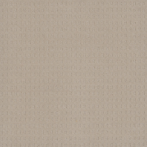 CASPIAN - Champagne Fizz