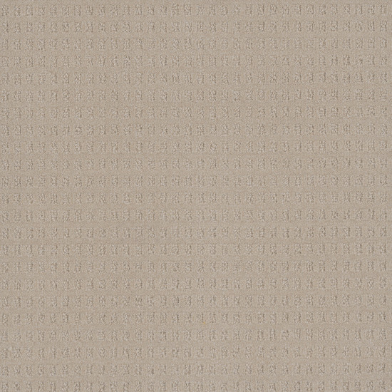 CASPIAN - Champagne Fizz CASPIAN - Champagne Fizz