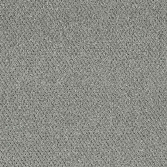 PRIME - Icefield PRIME - Icefield