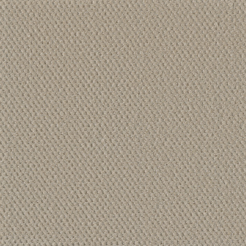 PRIME - Champagne Fizz