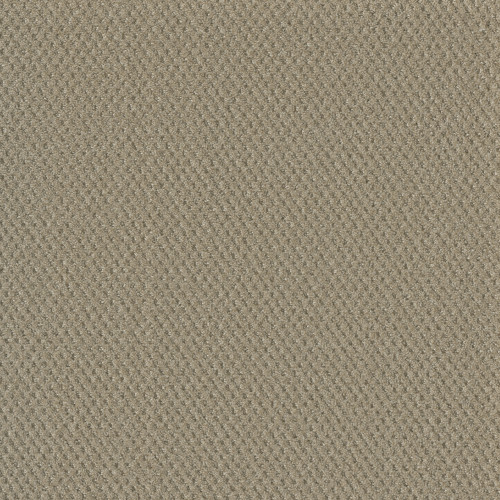 PRIME - Soft Pine