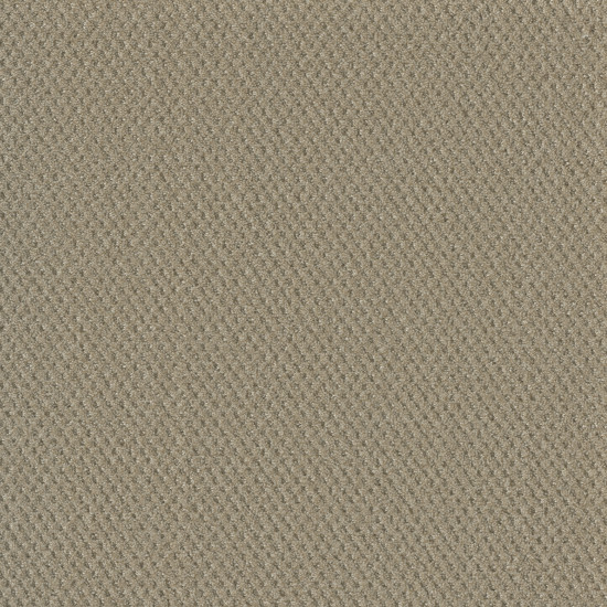 PRIME - Soft Pine PRIME - Soft Pine