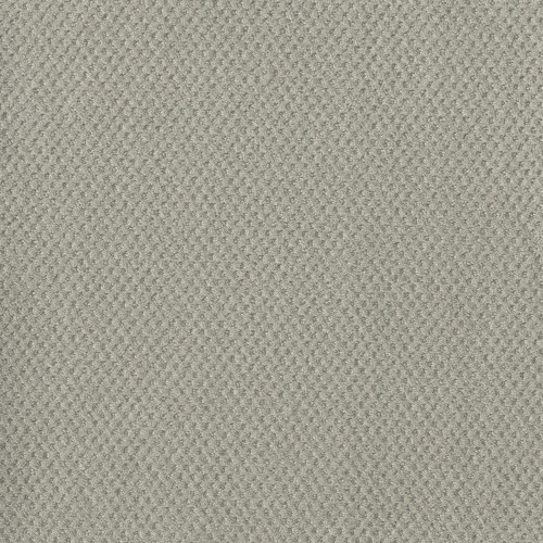 PRIME - Snow Cap