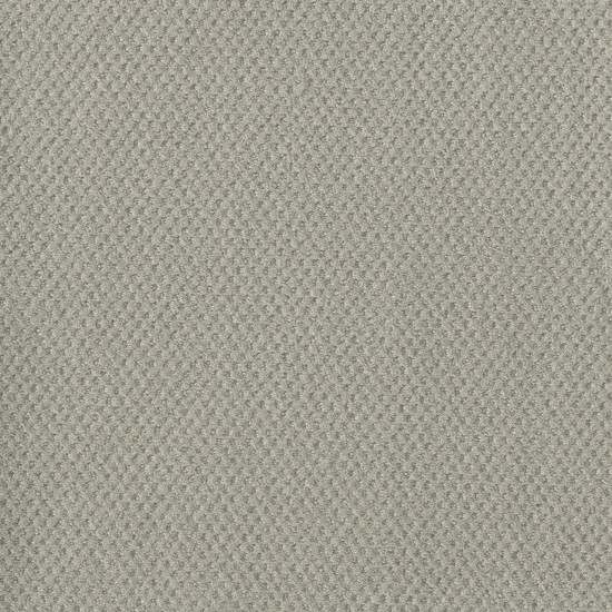PRIME - Snow Cap PRIME - Snow Cap