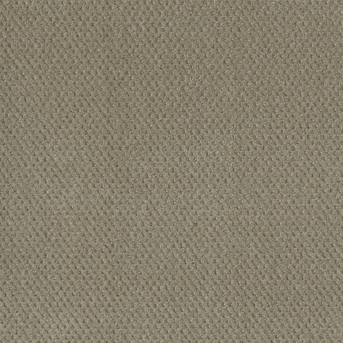 PRIME - Warm Sand
