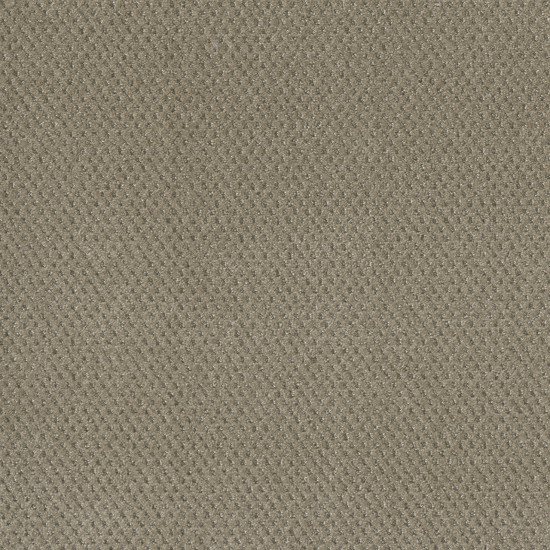 PRIME - Warm Sand PRIME - Warm Sand