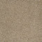 ASTOUNDING II - Amberwood