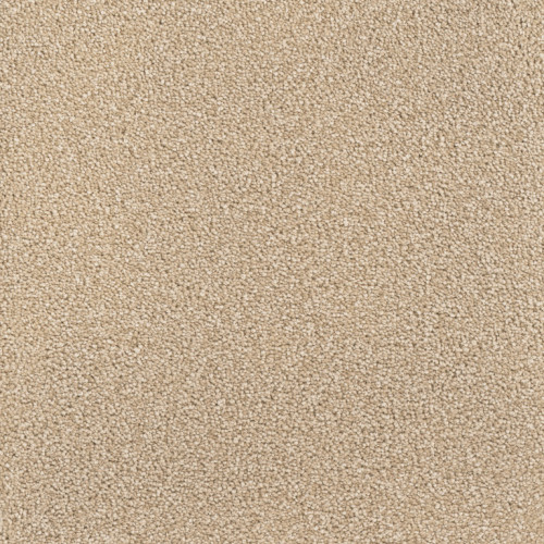 MONTAUK - Cashew