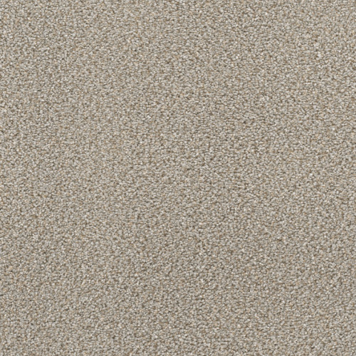MONTAUK - Ash