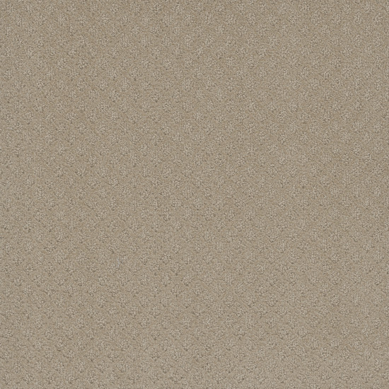STELLAR - Soft Pine STELLAR - Soft Pine