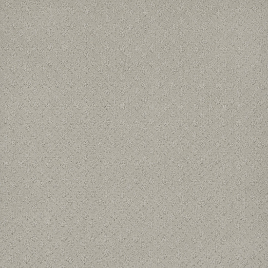 STELLAR - Snow Cap STELLAR - Snow Cap