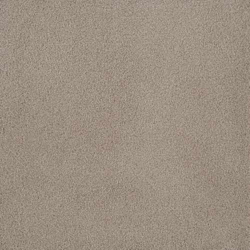 PALMETTO I - Sun Washed