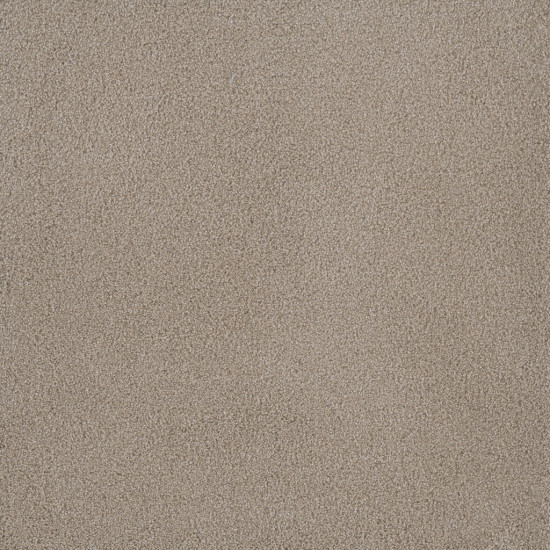 PALMETTO I - Sun Washed PALMETTO I - Sun Washed