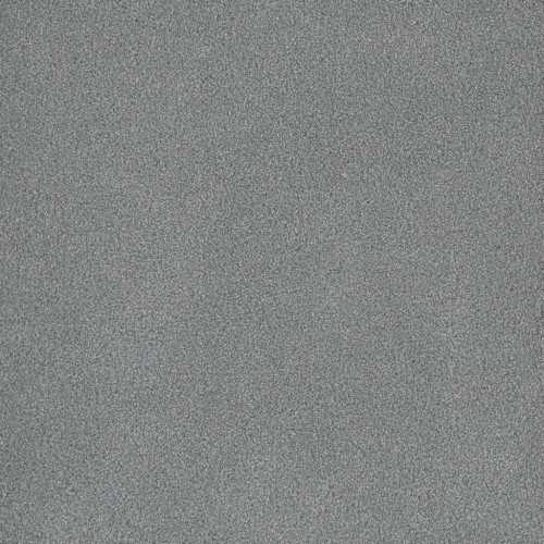 PALMETTO I - Skylight