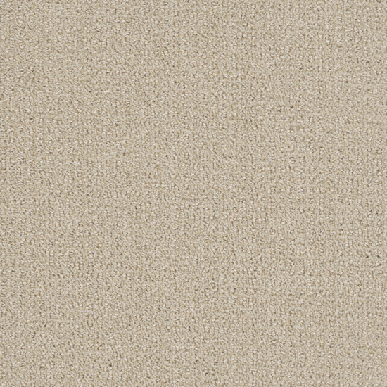 PINPOINT - CHAMPAGNE FIZZ PINPOINT - CHAMPAGNE FIZZ