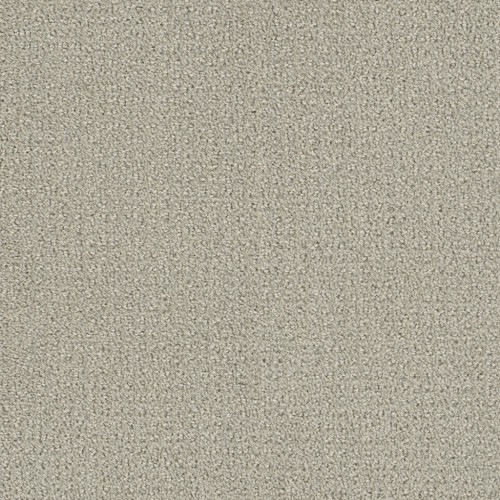 PINPOINT - SNOW CAP