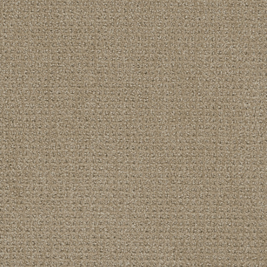 PINPOINT - WARM SAND PINPOINT - WARM SAND