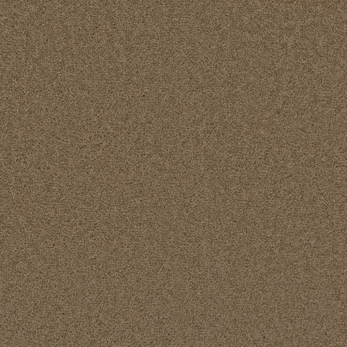 BROADCAST - Honey Beige
