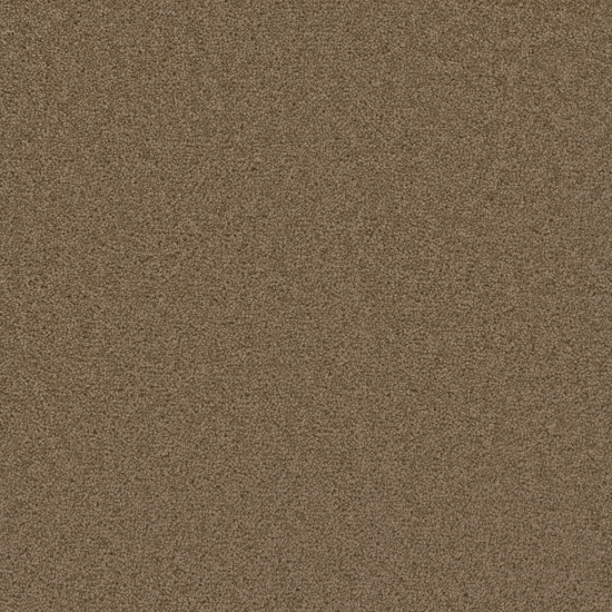BROADCAST - Honey Beige BROADCAST - Honey Beige