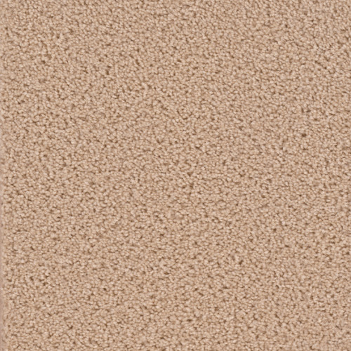 BROADCAST - Cookie Dough