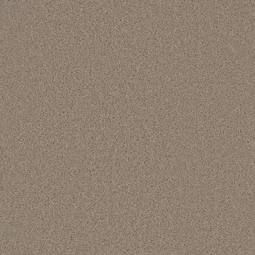 BROADCAST PLUS - Flax Beige