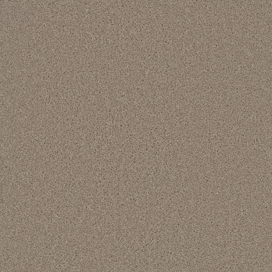 BROADCAST PLUS - Flax Beige BROADCAST PLUS - Flax Beige